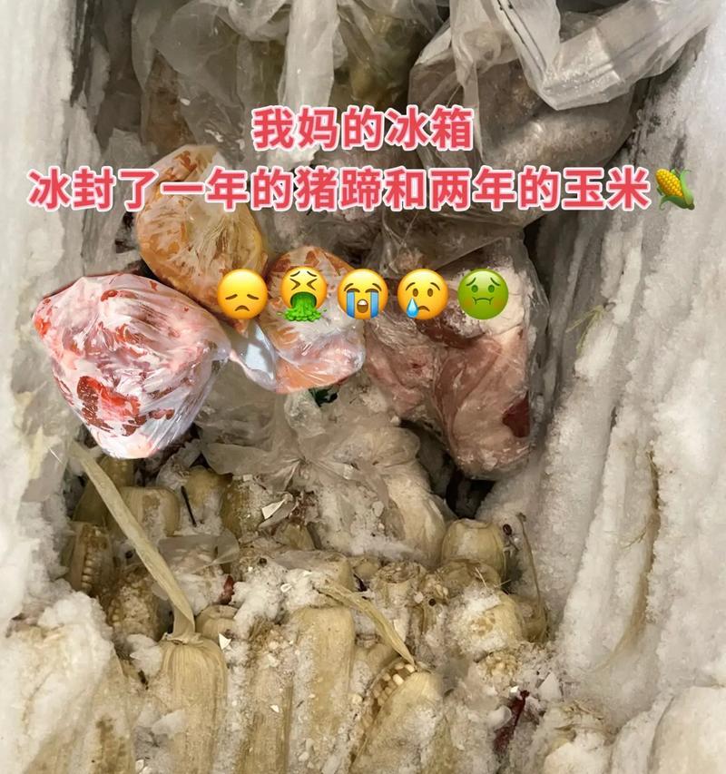 冰箱有冰封条怎么处理？快速除冰方法大公开！  第3张